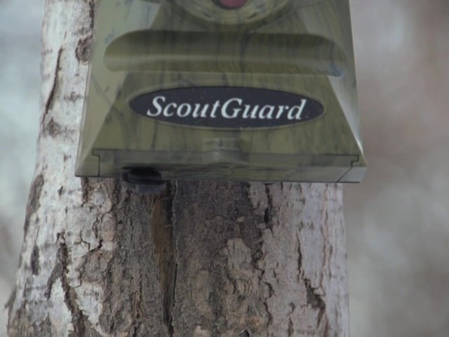  HCO® ScoutGuard SG550V 5MP Infrared Game Camera with Remote / Viewer - image 2 from the video